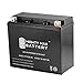 YTX20L-BS Replacement for Bombardier Ski-Doo 600 GSX, GTX 2004-2011 - Mighty Max Battery brand product