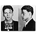 Frank Sinatra Arrested Police Mugshot 1938 Vinyl Sticker - SELECT SIZE