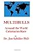 Multihulls: Around the World Catamaran Race