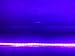 4 Foot UV LED Black Light night fishing Strip 3528 Ultraviolet