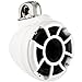 Wet Sounds Revolution Series 8 inch EFG HLCD Tower Speakers - White w/ Fixed Clamp
