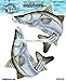 Salty Bones BSD2476 UV and Weather-Resistant Fish Profile Decal for Cars and Boats, Snook