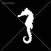 Sticker Seahorse Hippocampus Figure durable Boat bft hunter mahi mahi (4 X 1,79 Inches) Vinyl color White