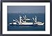 Framed Artwork of Tuna fishing boats, City of Manta, Manabi Province, Ecuador, South America