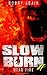 Slow Burn: Dead Fire, Book 4 (Volume 4)