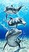 Baron bay dolphins velour brazilian beach towel 30x60 inches