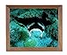 Manta Ray Ocean Sea Life Animal Wildlife Wall Picture Honey Framed Art Print