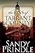 The Sins of Tarrant County (Morgan James Fiction)