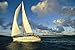 National Geographic - Sailboat Cruising off the Coast of the British Virgin Islands Peel and Stick Wall Decal by Wallmonkeys