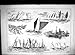 1888 Yarmouth Regatta Wherries Gipsey Yachts Trawlers Sailing Sport