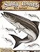Salty Bones Large Cobia Action Decal - 13.5