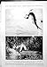 Print Catching Tarpon Fishing With Rod And Line Boat 1913 1005RP242