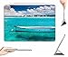 iPad Air Case + Transparent Back Cover - boat on a blue bay in mauritius - [Auto Wake/Sleep Function] [Ultra Slim] [Light Weight]