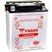 Yuasa YUAM2S6CL YB16CL-B Battery