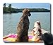 Custom Gaming Mouse Pad with Dog Boat River Swimming Non-Slip Neoprene Rubber Standard Size 9 Inch(220mm) X 7 Inch(180mm) X 1/8(3mm) Desktop Mousepad Laptop Mousepads Comfortable Computer Mouse Mat