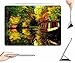 iPad Air Case + Transparent Back Cover - house boat on a river in autumn - [Auto Wake/Sleep Function] [Ultra Slim] [Light Weight]