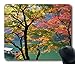 Custom Glamorous Mouse Pad with Trees Boat River Autumn Non-Slip Neoprene Rubber Standard Size 9 Inch(220mm) X 7 Inch(180mm) X 1/8 Inch(3mm) Desktop Mousepad Laptop Mousepads Comfortable Computer Mouse Mat