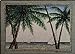 Manual Old Key West Palm Woven Tapestry Placemats David Carter Brown UBOKWP Set of 4 - 18x13 Inches
