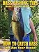 Bass Fishing Tips, Bass fishing with jigs: How to catch bass on jigs year round